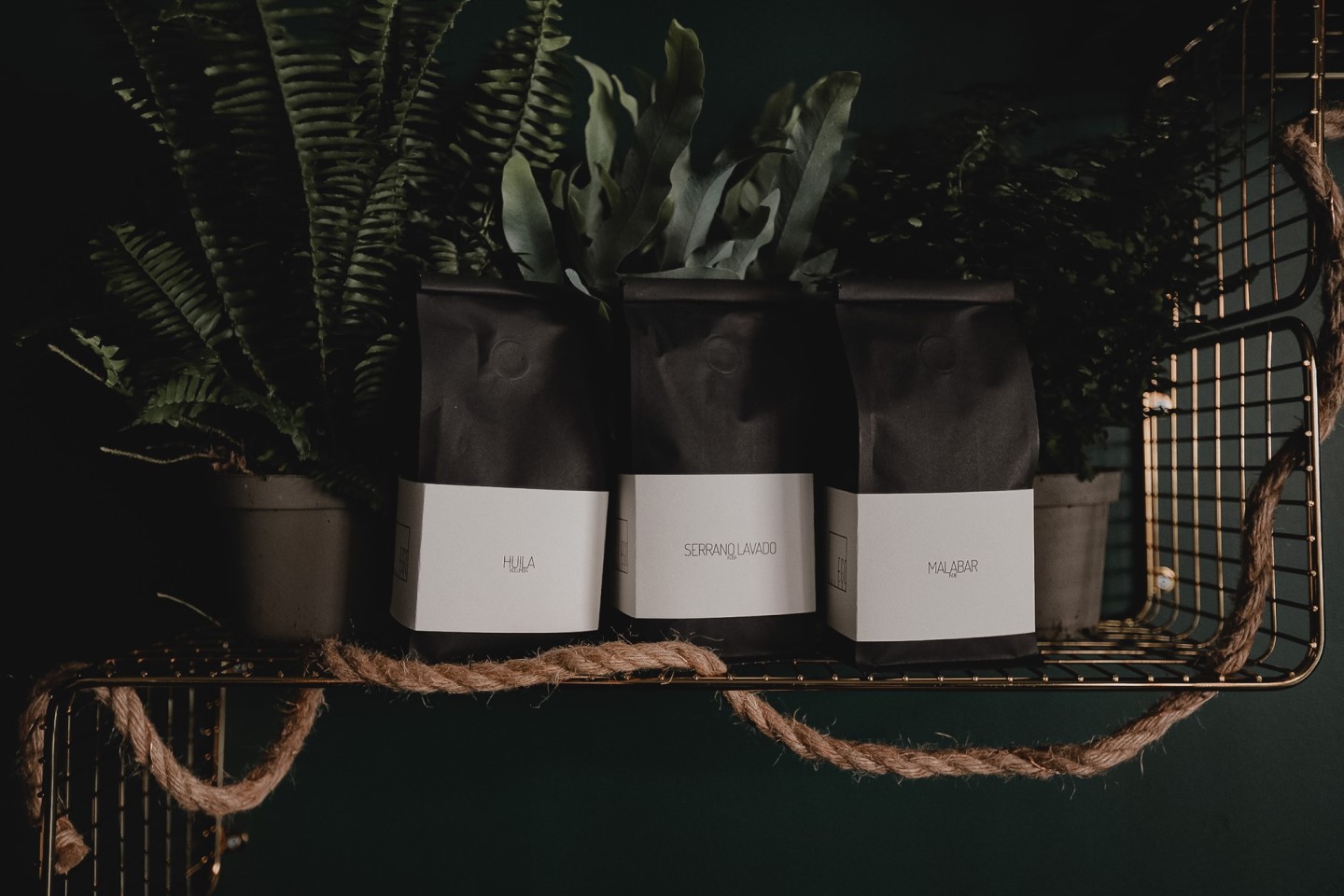 coffee